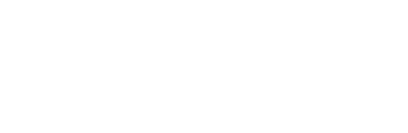 Brave logo